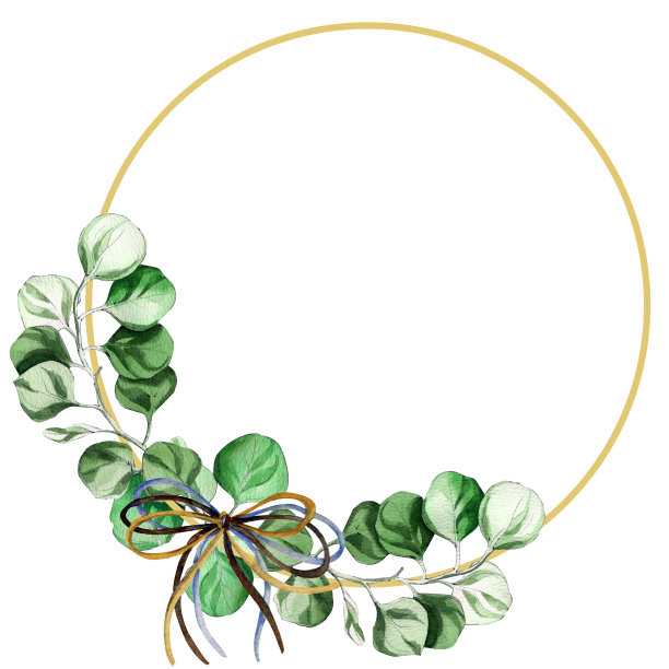 水彩桉树图片下载