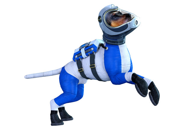 3D r插图宇航员狗在白色图片下载