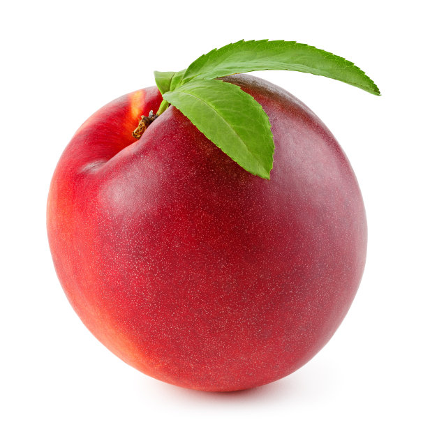 桃或油桃，叶子孤立在白色上图片下载