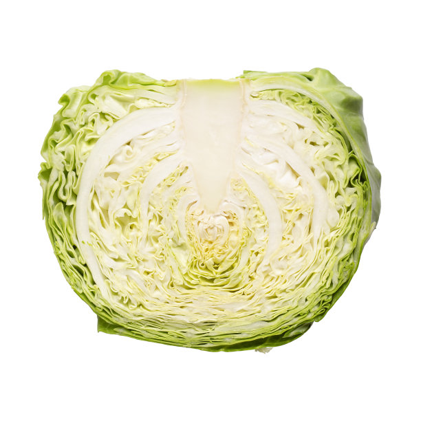 切白菜图片下载