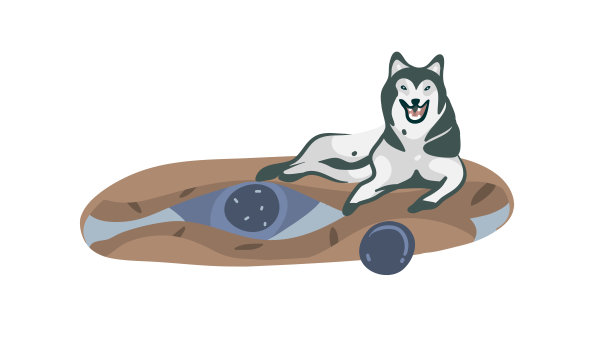 手绘矢量股票抽象图形卡通插图与躺在地毯上孤立的哈士奇狗在白色的背景图片下载