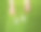 孩子的脚已经长大了，鞋子已经很小了。儿童新鞋的概念。孩子的脚长得很快。在象征青草的绿色地毯上。鞋娃娃图片下载