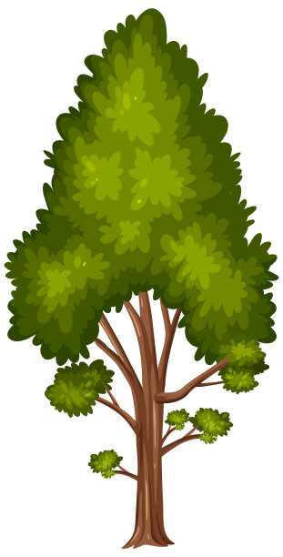 白色背景上的一棵大树图片下载