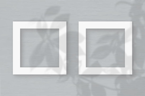 灰色墙壁背景上的两张方形的白色纹理纸。模型与植物阴影覆盖。自然光在外来植物的叶子上投下阴影。平躺，俯视图图片下载