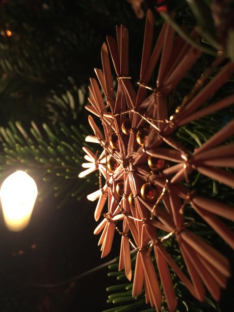 发光的稻草星，圣诞树，德国，马克罗图片下载