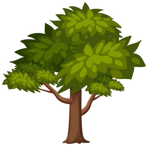 白色背景上的一棵大树图片下载