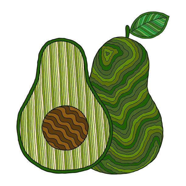 鳄梨。涂鸦详细说明。孤立。图片下载