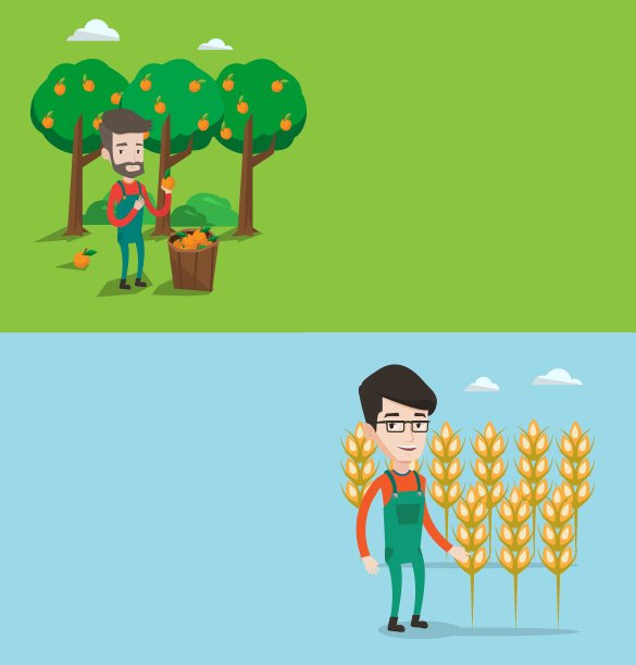 两个农业横幅与文字空间图片下载