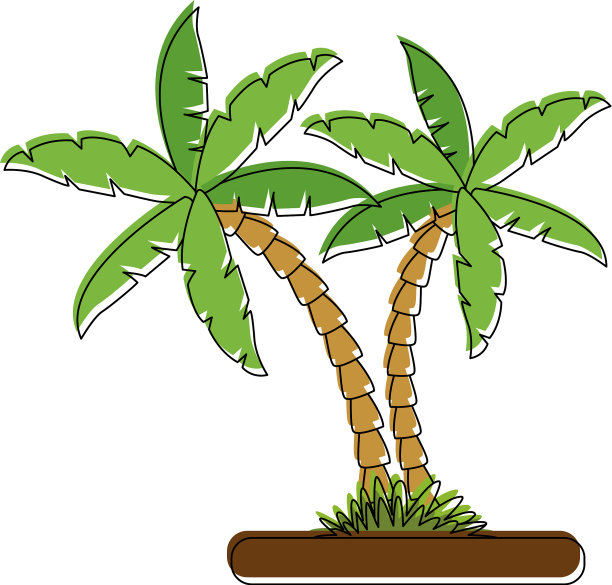 地上的棕榈树图片下载