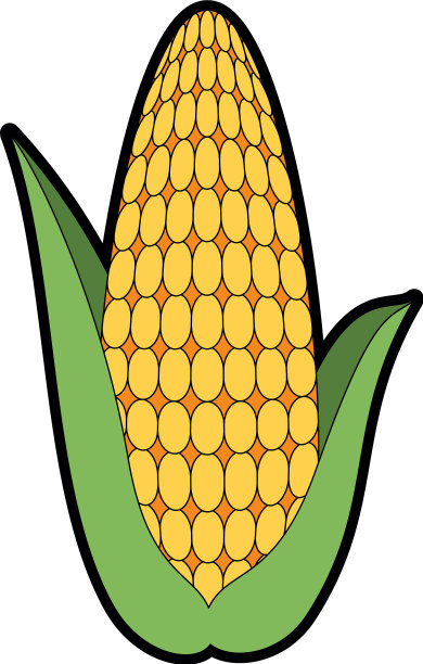 新鲜玉米芯图标图片下载