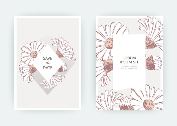 卡与花金盏花菊花图片下载