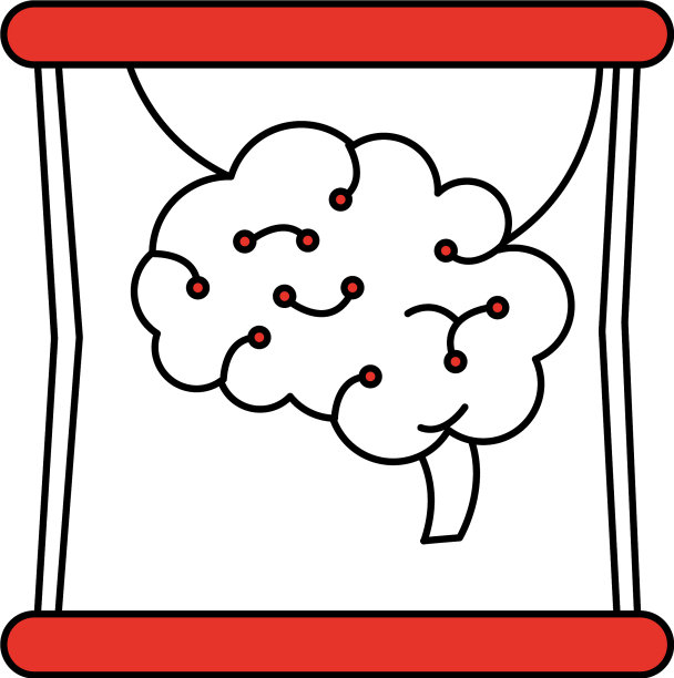 人类大脑瓶图片下载