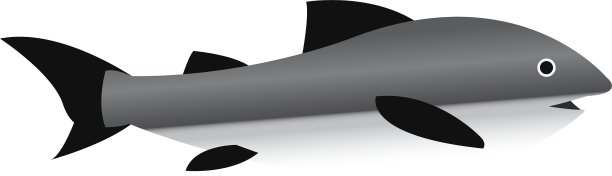 孤立的鱼设计图片下载