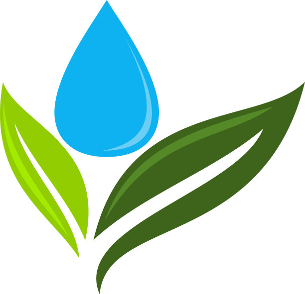 绿叶和水滴图片下载