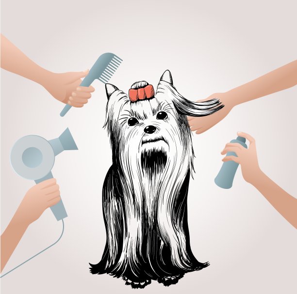 宠物美容沙龙概念图片下载