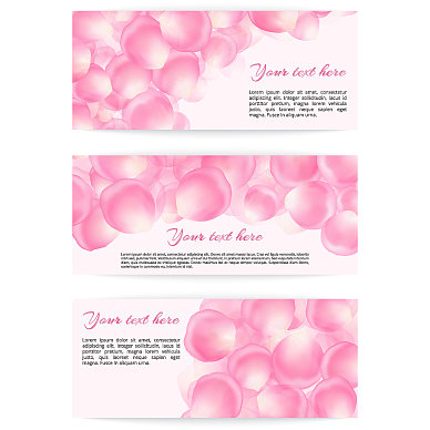 带有玫瑰花瓣的横幅图片下载