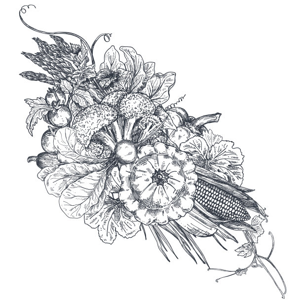 手绘的农场图片下载