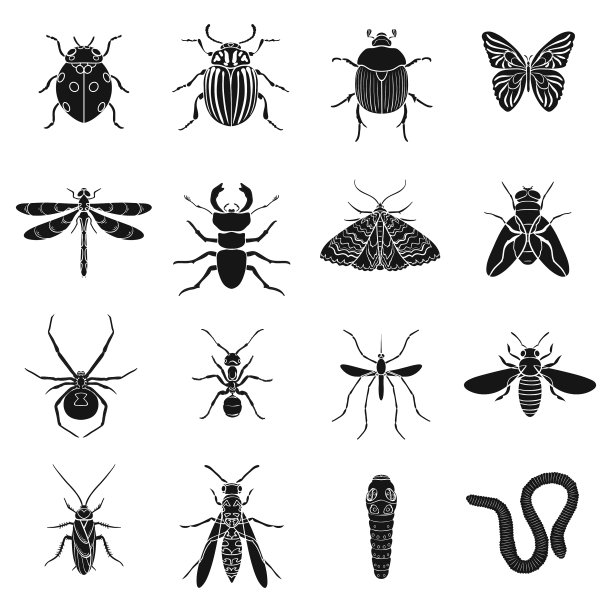 昆虫设置图标在黑色风格大收集图片下载
