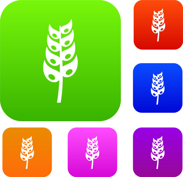 成熟的香料集色系图片下载