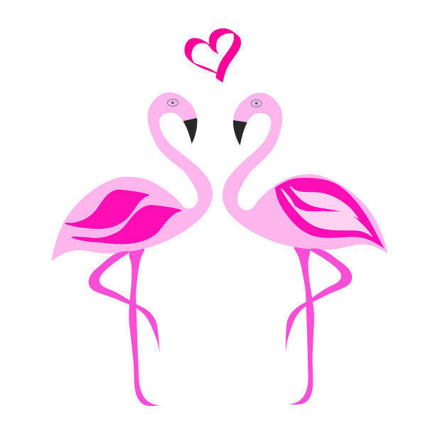 两只相爱的火烈鸟图片下载