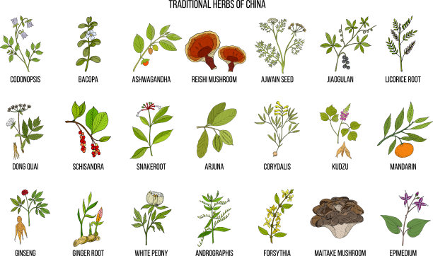 中草药图片下载