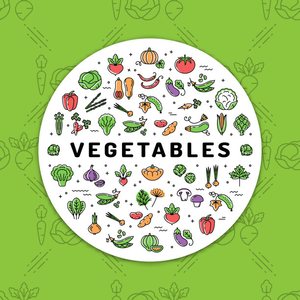 蔬菜横幅新鲜素食食物蔬菜图片下载