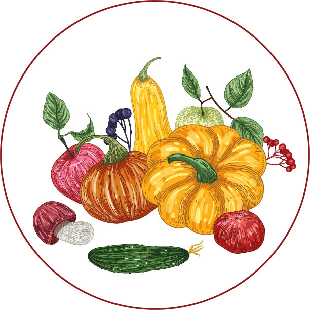 秋季蔬菜作文图片下载