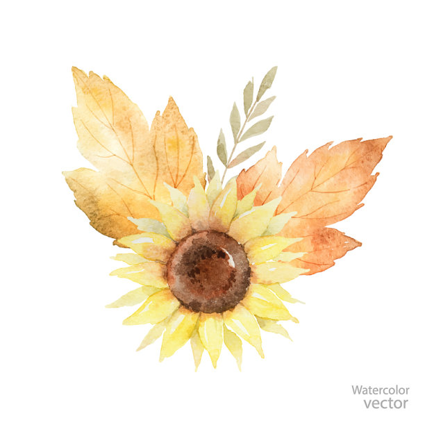 水彩花束的叶子和树枝图片下载