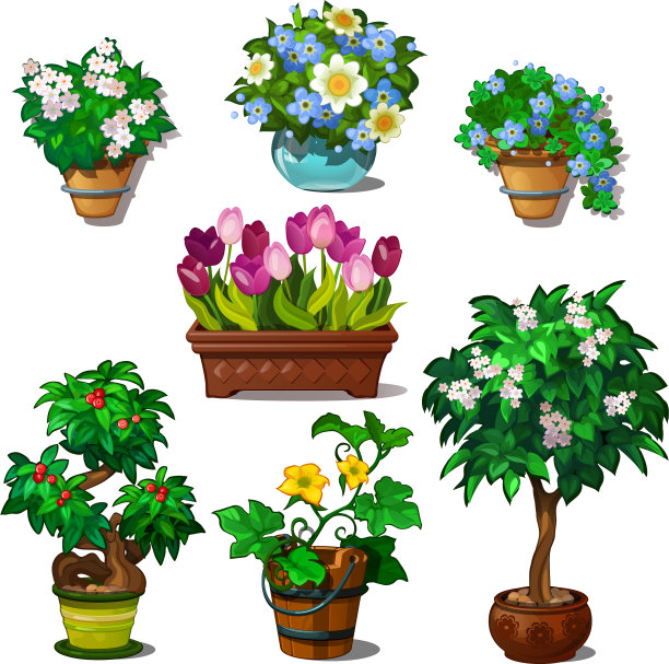 一套家庭和花园植物在花瓶和花盆图片下载