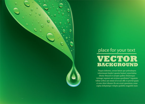 嫩绿的叶子上有水滴图片下载