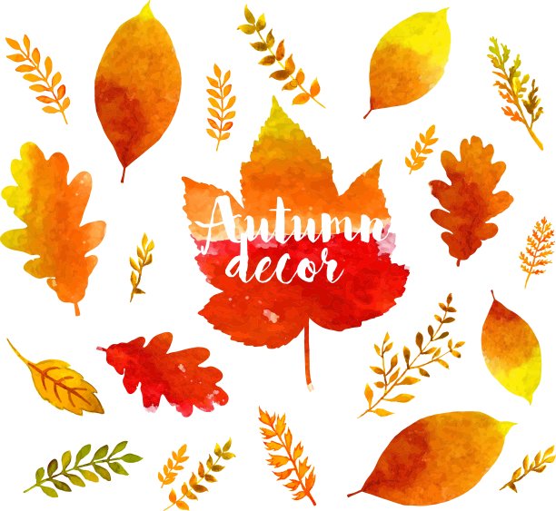秋天水彩的叶子图片下载
