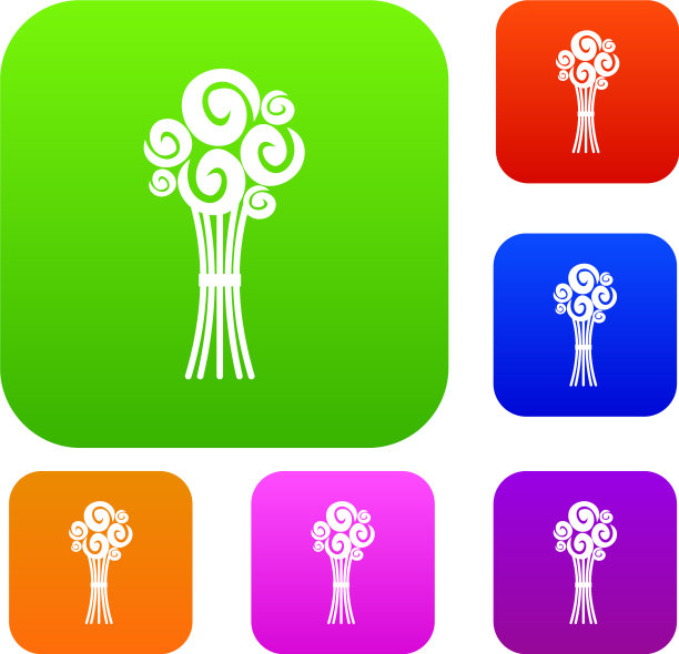 新娘玫瑰花束集合图片下载