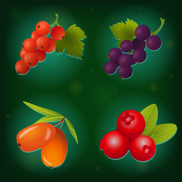 浆果图标设置在绿色背景图片下载