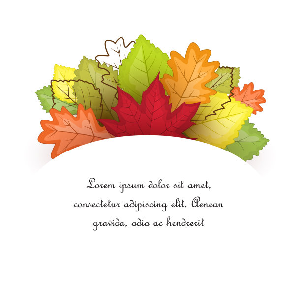 色彩斑斓的秋叶图片下载