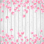 现实的樱花花瓣上的白色木制图片下载