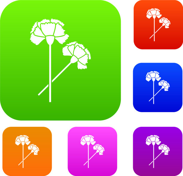 康乃馨集合图片下载