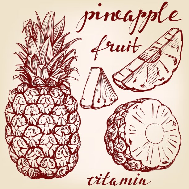 水果菠萝手绘插画图片下载