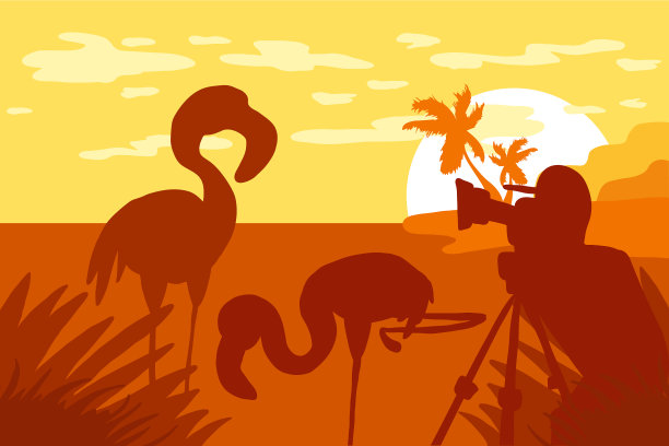 摄影师在大自然中拍摄火烈鸟图片下载