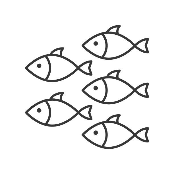 浅滩鱼群象征着海洋的生命线图片下载