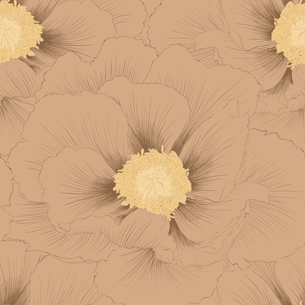 无缝背景花植物牡丹图片下载