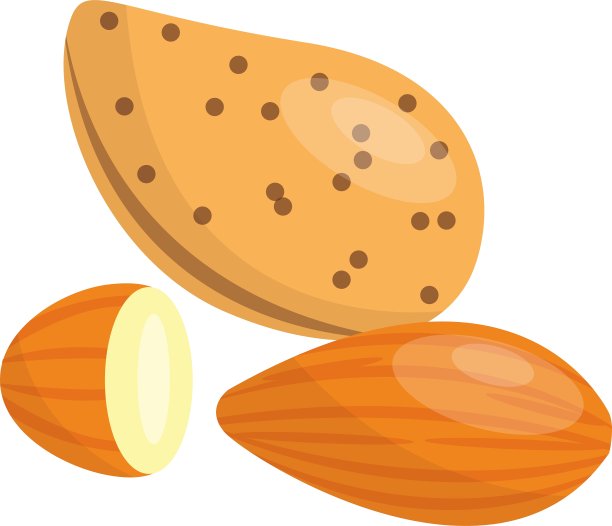 一堆坚果和杏仁图片下载