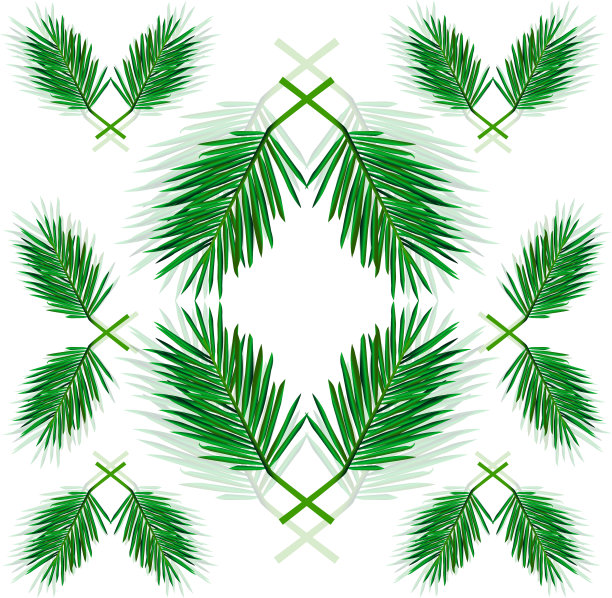 白色背景上绿叶的棕枝图片下载