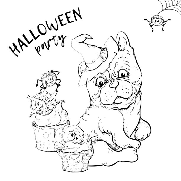 可爱的黑猫和狗穿着有趣和花哨图片下载