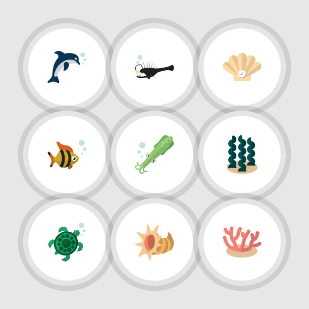 平图标海洋章鱼藻类嬉戏图片下载