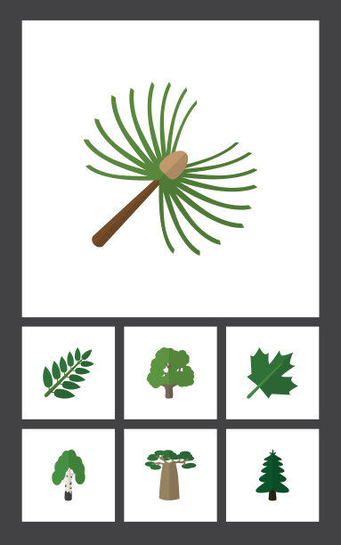 平面图标自然套猴面包树金合欢叶公园图片下载