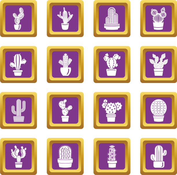 仙人掌图标设置紫色方块图片下载