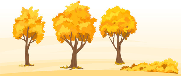 秋天的树组图片下载