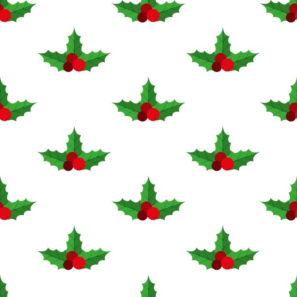 冬青浆果模式图片下载