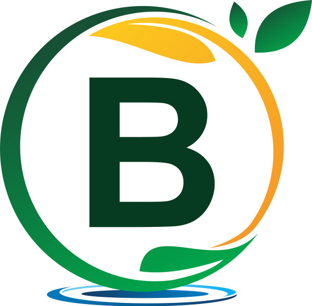 绿色项目解决方案b图片下载