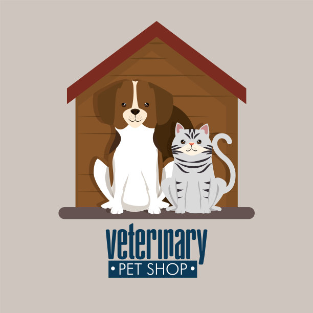 狗和猫在木屋宠物友好图片下载